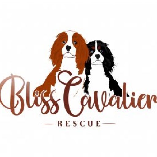 Bliss Cavalier Rescue logo