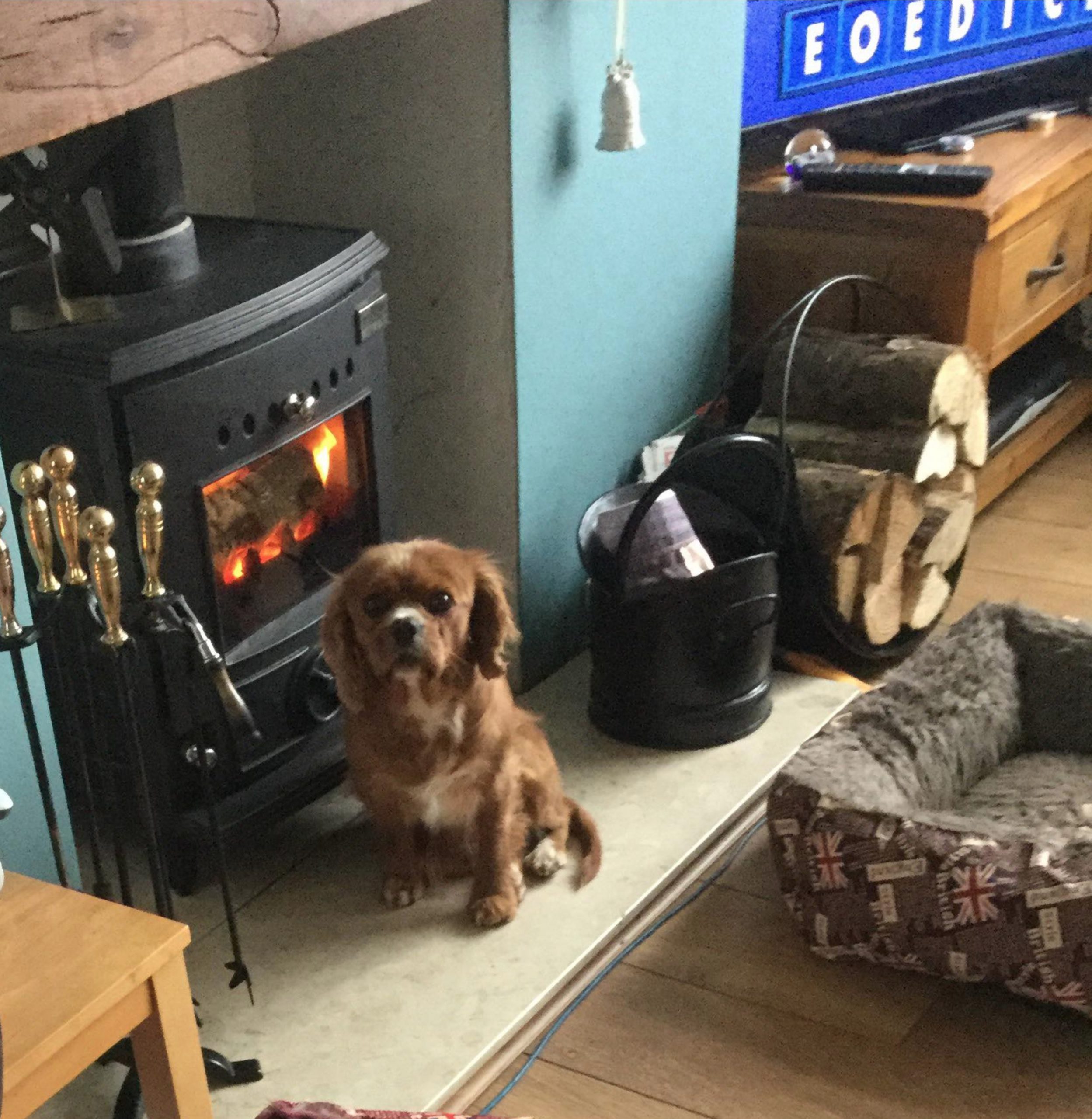 Ruby age 4