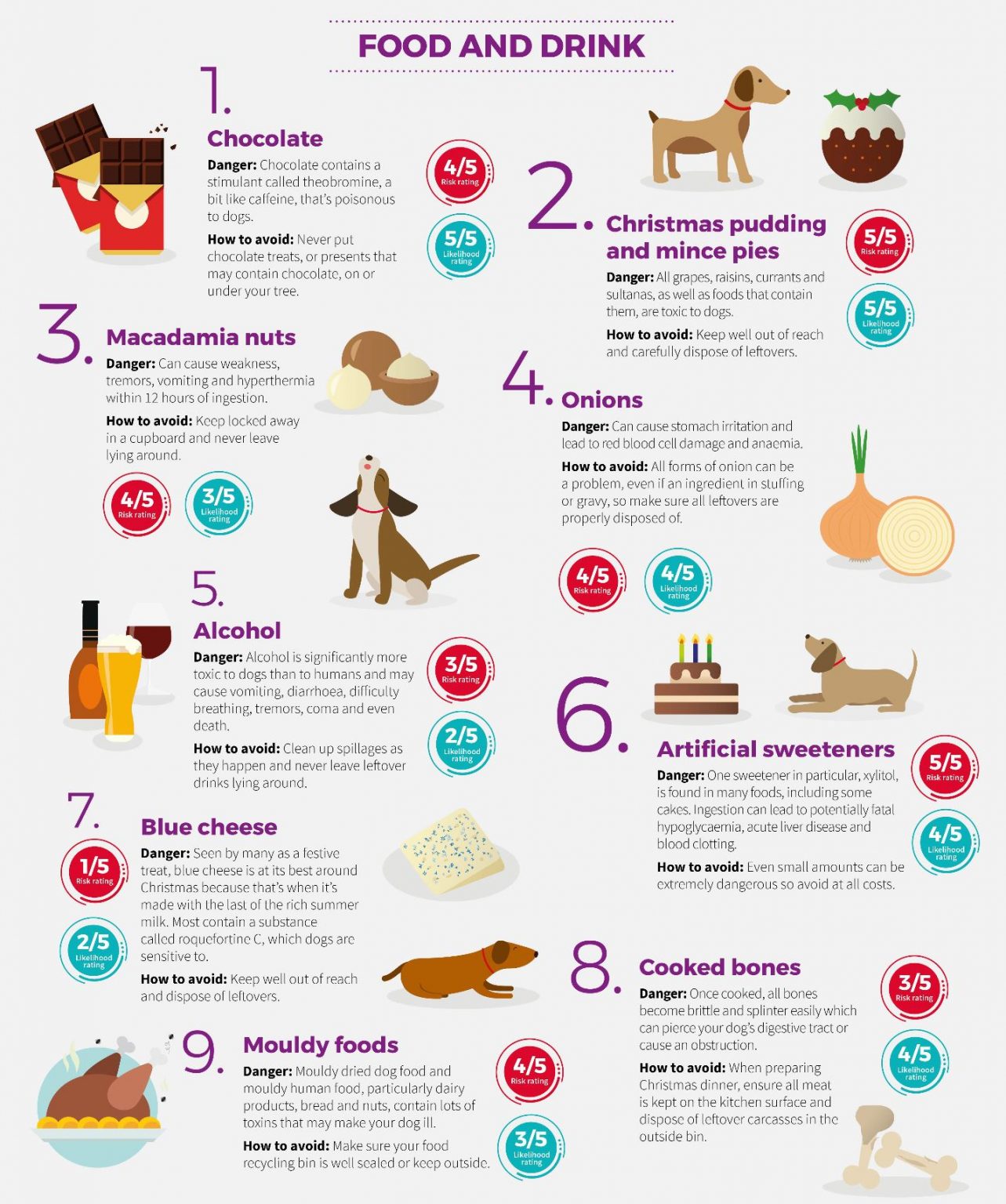 Keep your Cavalier safe this Christmas Which foods are toxic to dogs