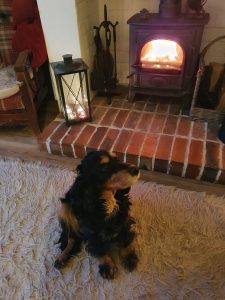 Eira Cocker sat by the log burner fire