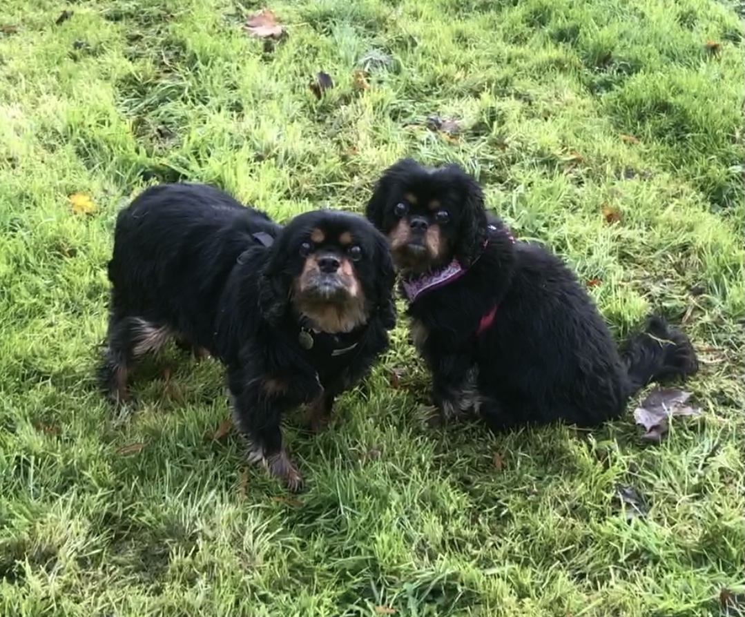 Blissy and Jemm