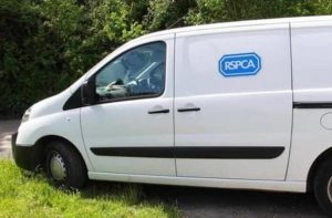 White RSPCA van