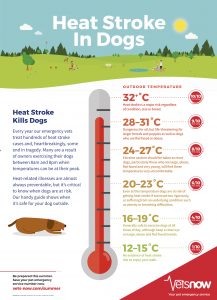 Heat stroke in dogs temperature chart