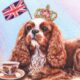 Cavalier King Charles Spaniel with Union Jack and Crown and cup of English tea