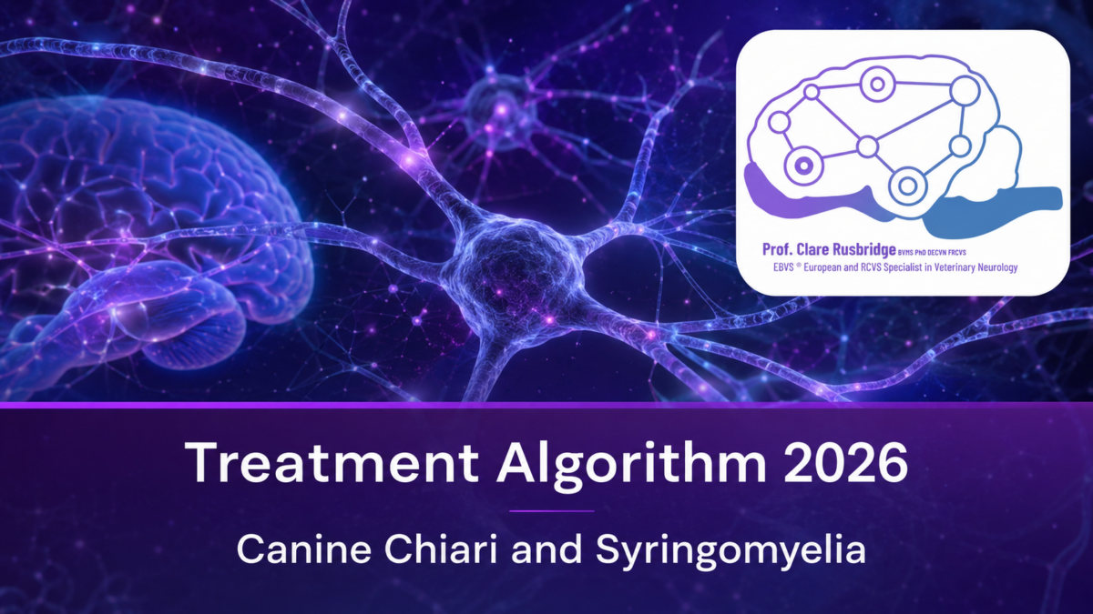 Professor Clare Rusbridge veterinary neurologist canine chairi malformation and syringomyelia treatment banner 2026