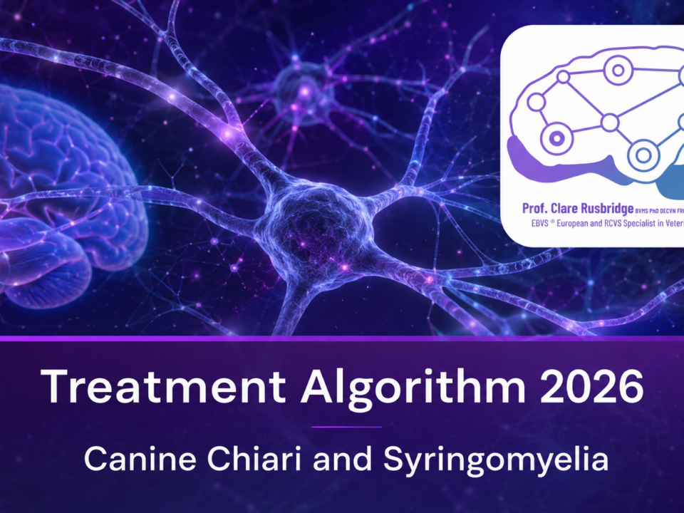 Professor Clare Rusbridge veterinary neurologist canine chairi malformation and syringomyelia treatment banner 2026